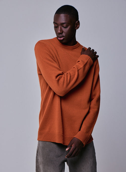 Pull Marron Col Rond Manches Longues en Laine merinos - MAJESTIC FILATURES