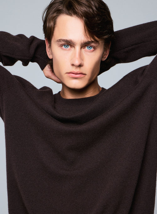 Pull Marron Col Rond Manches Longues en Cachemire - MAJESTIC FILATURES