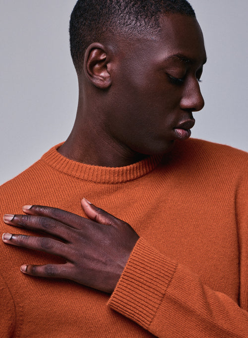 Pull Marron Col Rond Manches Longues en Laine merinos - MAJESTIC FILATURES